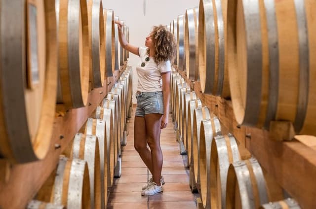 Cotes de Provence Wine Tour from Aix-en-Provence