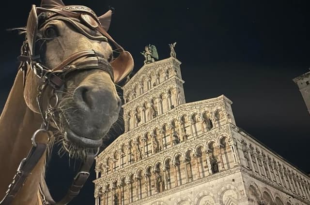 Lucca Royal Experience – Grand Tour Deluxe by Carriage (2 Hours)