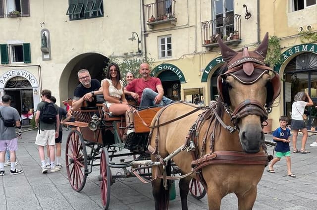 Lucca Classic – Carriage Tour in the Old Town