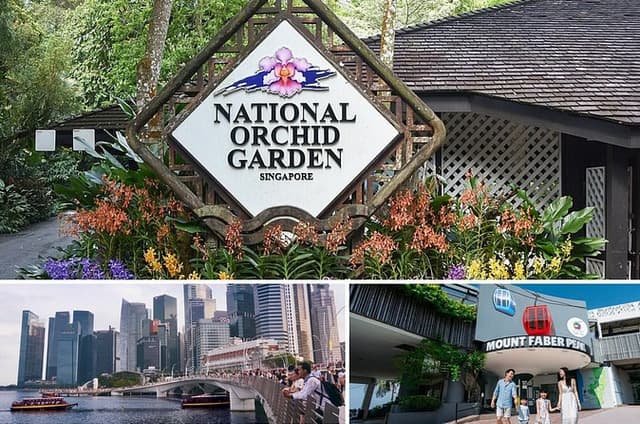 Singapore Half-Day Guided City Tour with National Orchid Garden