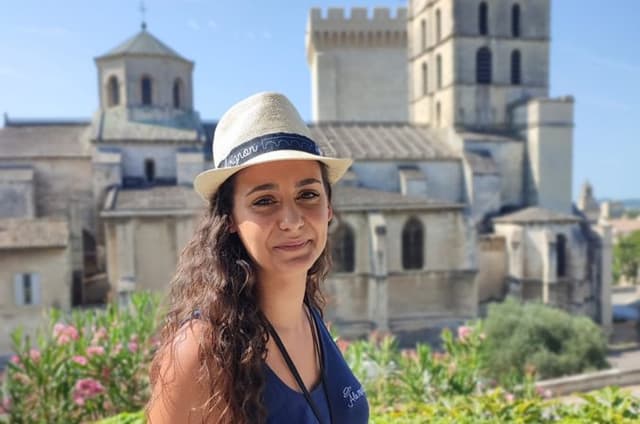 Avignon Walking Tour including Pope's Palace