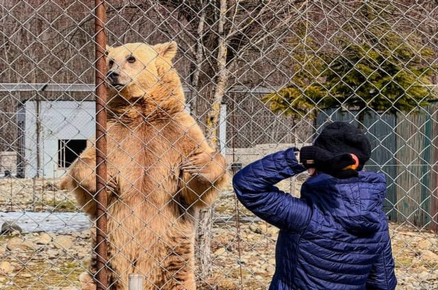 Tbilisi: Family Tour — Bears, Chronicle, Jvari & Sabaduri Forest