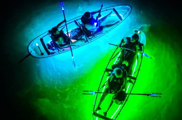 GlowRow Glowing Kayak Tour Port Aransas - Lighthouse Lakes