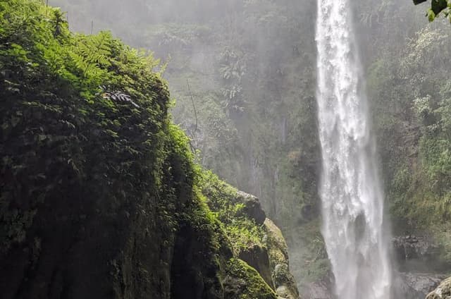 Best & Top of Arusha; Coffee Tour and Waterfall Hike.