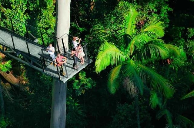 Gold Coast: HOHO - Tamborine Rainforest Skywalk + Glow Worm Caves