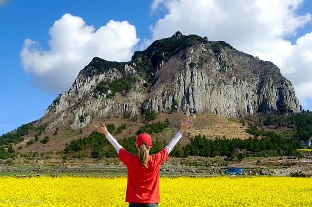 Jeju South-West Essentials: Hallasan & Signature Highlights