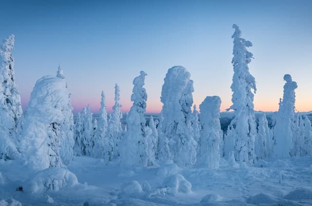 Arctic Circle & Northern Lights - Dalton Highway Winter Tour