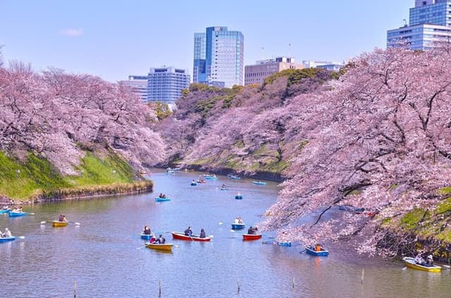 Tokyo Self-Guided Audio Tour