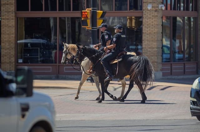 Cowboy for a Day