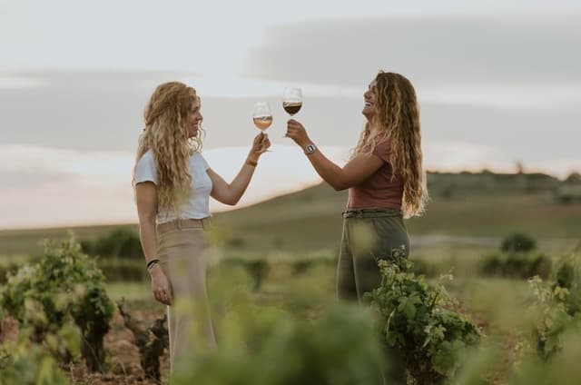 Vineyard Activity and Country Snack with Rioja Farmer Experience