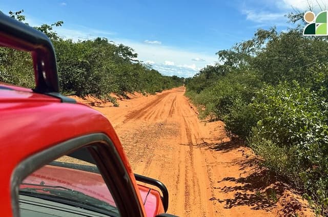 After the Footsteps of the Jaguar 3-Day Kaa Iya Expedition