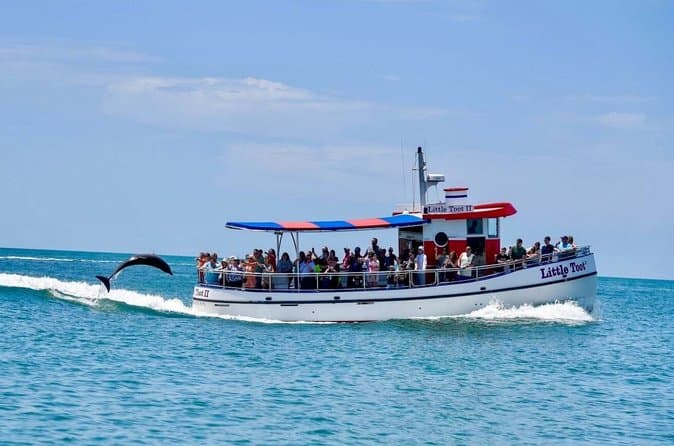 Book Top-Rated Clearwater Dolphin Cruise Tours