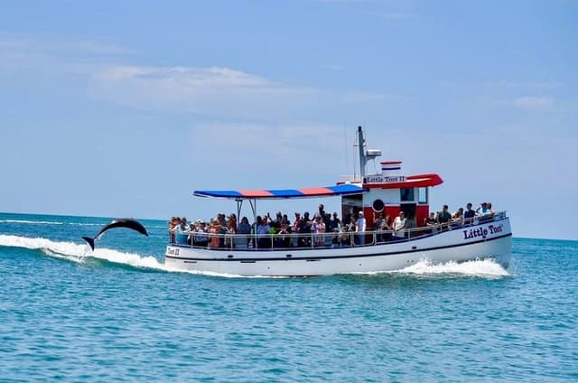 Little Toot Dolphin Adventure at Clearwater Beach