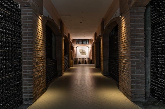 Brescia Franciacorta Wine Tour: Tastings & Cellars
