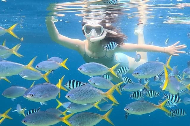 Three Day Snorkeling Tour