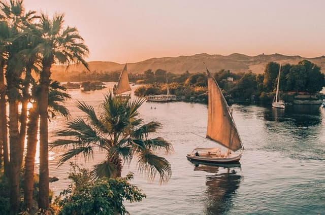 Botanical Garden & Elephantine Island by Felucca