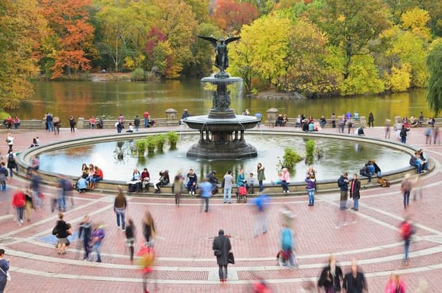 New York City Tour in One Day: Central Park, 911 and Ferry Statue