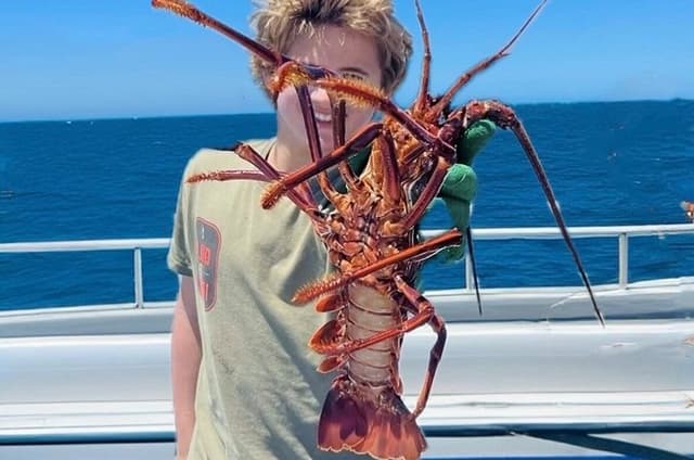Pinnacles Desert and Catch Your Own Lobster Lunch Safari.