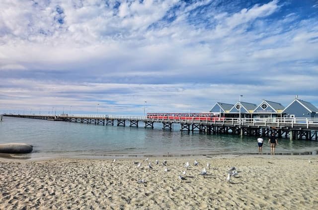 Private Busselton Jetty and Underwater Observatory Tour