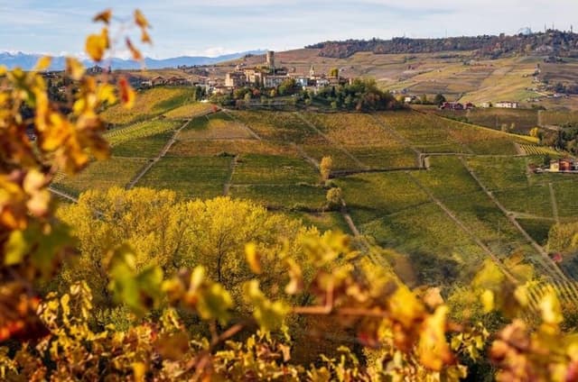 From Milan: Barolo Vineyards & UNESCO Wine Cellar Experience