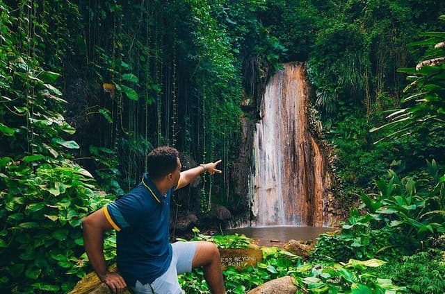 Soufriere Botanical Gardens and Mud Baths Tour with Lunch