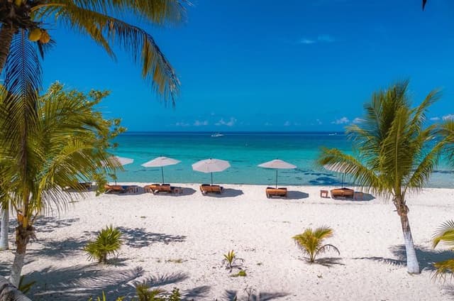 Secret Palancar Beach Experience