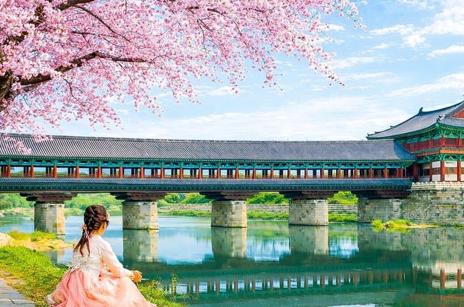 Best Busan to Gwangju Day Trip: Culture & History Tour