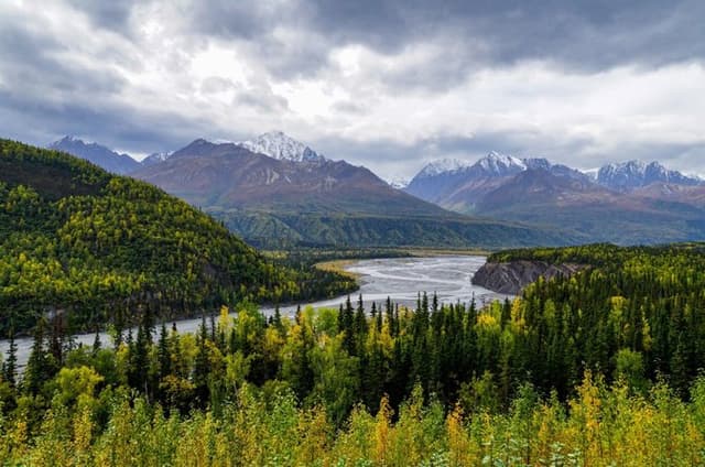 Self-Guided Parks Hwy Audio Drive: Anchorage to Denali