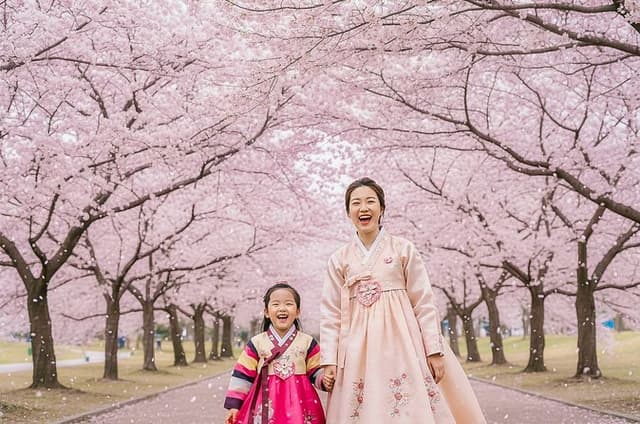 Full Day Tour Jeonju Hanok Village and Wansan Park