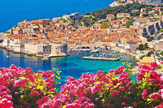 Private Shore Tour: Dubrovnik Walking Tour with Transfer