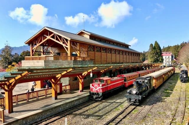 Alishan Private Day Tour from Taichung