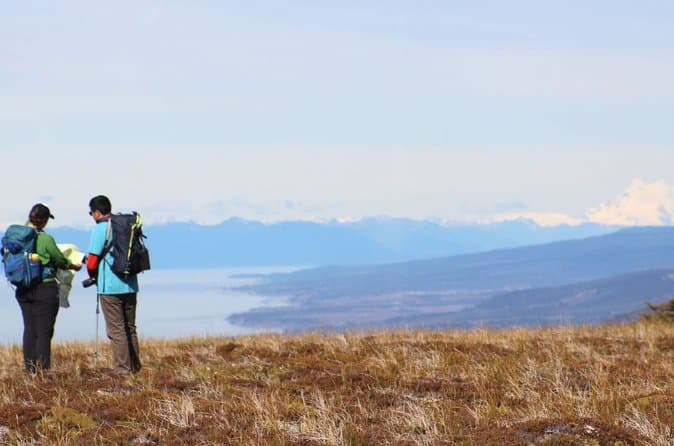 Best Patagonian Forest Tours & Hikes