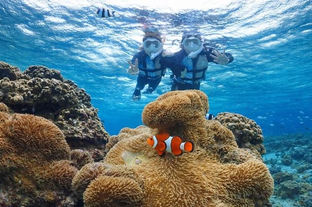 Snorkeling in Miyakojima- Fluent English! Small group!