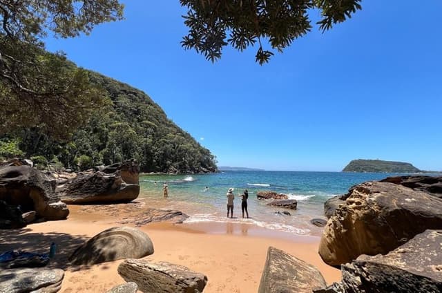 Sydney: Ku-ring-gai Chase Private Tour with Bushwalk & Swim