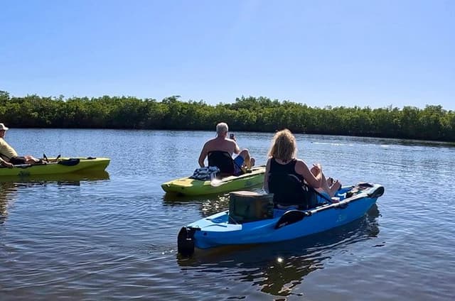 Kickin’ Kayaks Morning Wildlife Tour