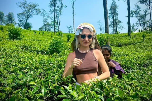 7 Day Private Sri Lanka Tour With Star Hotels, Safari & Ella