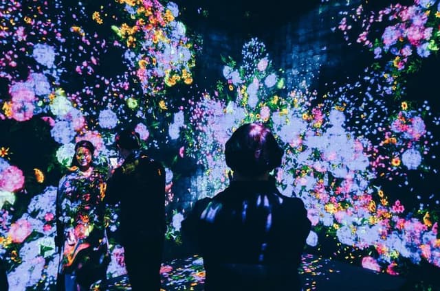Futuristic Tokyo Tour in TeamLab Borderless and City Views
