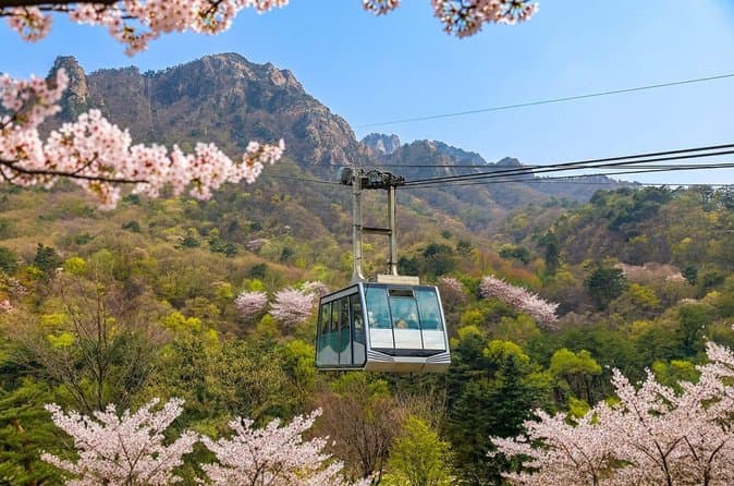 Best Nami Island & Garden of Morning Calm Day Tour from Seoul