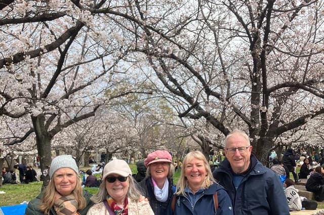 Ohanami in Osaka Highlights, Food, Drinks and History