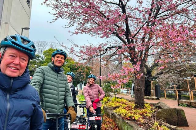 3-Hour Tokyo Cherry Blossom Viewing E-Bike Tour