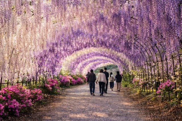 Ashikaga Highlights Private Guided Tour from Tokyo