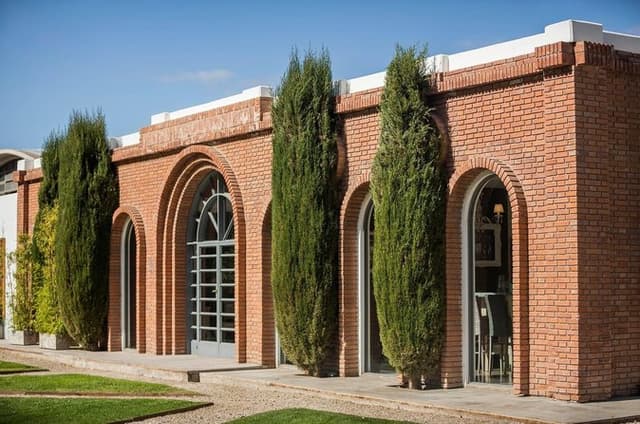 Private Tour in Lujan de Cuyo Mendoza