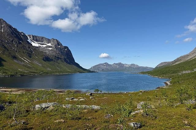 Tromsø: Arctic Fjord & Island Tour — Small Group Experience