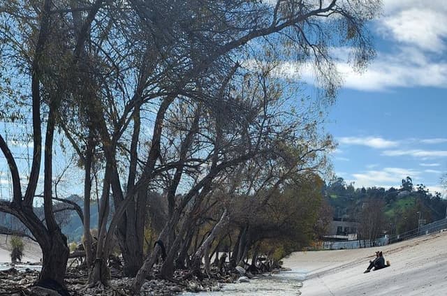 LA River Eco Tour and Secret Stair Hike