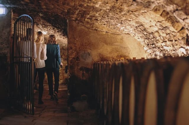 Immersive tour