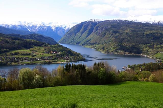 Private Shore Tour: Ulvik Nature Walk & Osa Fjord Viewpoint