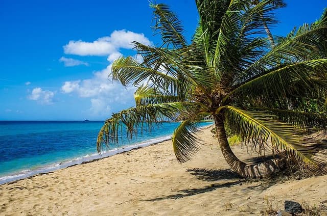 St Kitts Photography Tour with Photo Insurance
