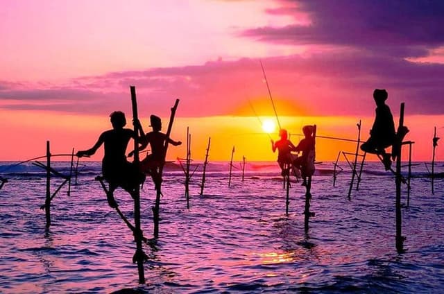 Private Galle Day Tour with Stilt Fishing Experience/Local Guide