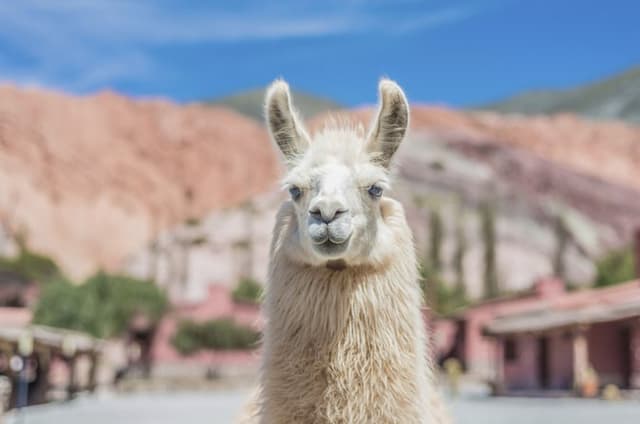 Quebrada de Humahuaca and Purmamarca