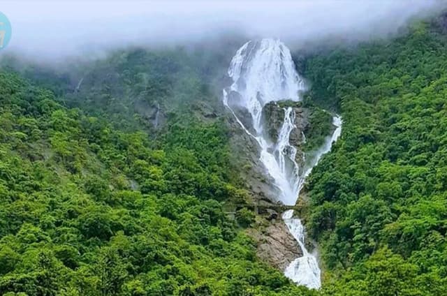 Dudhsagar Waterfalls Tour Jeep Safari and Spice Plantation Visit
